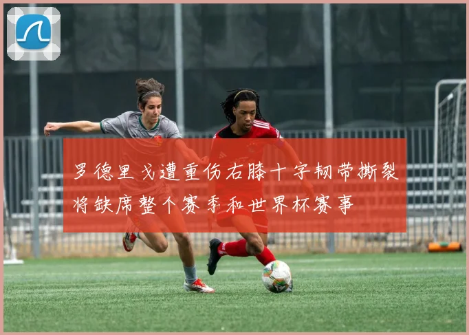 罗德里戈遭重伤右膝十字韧带撕裂将缺席整个赛季和世界杯赛事