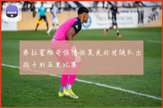 弗拉霍维奇伤情恢复良好将随队出战卡利亚里比赛