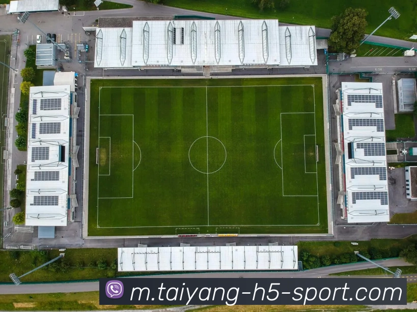 App Interface Preview