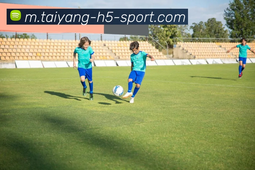 太阳城APP 封面图